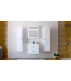 Bathroom cabinet TORETO 1D, white order